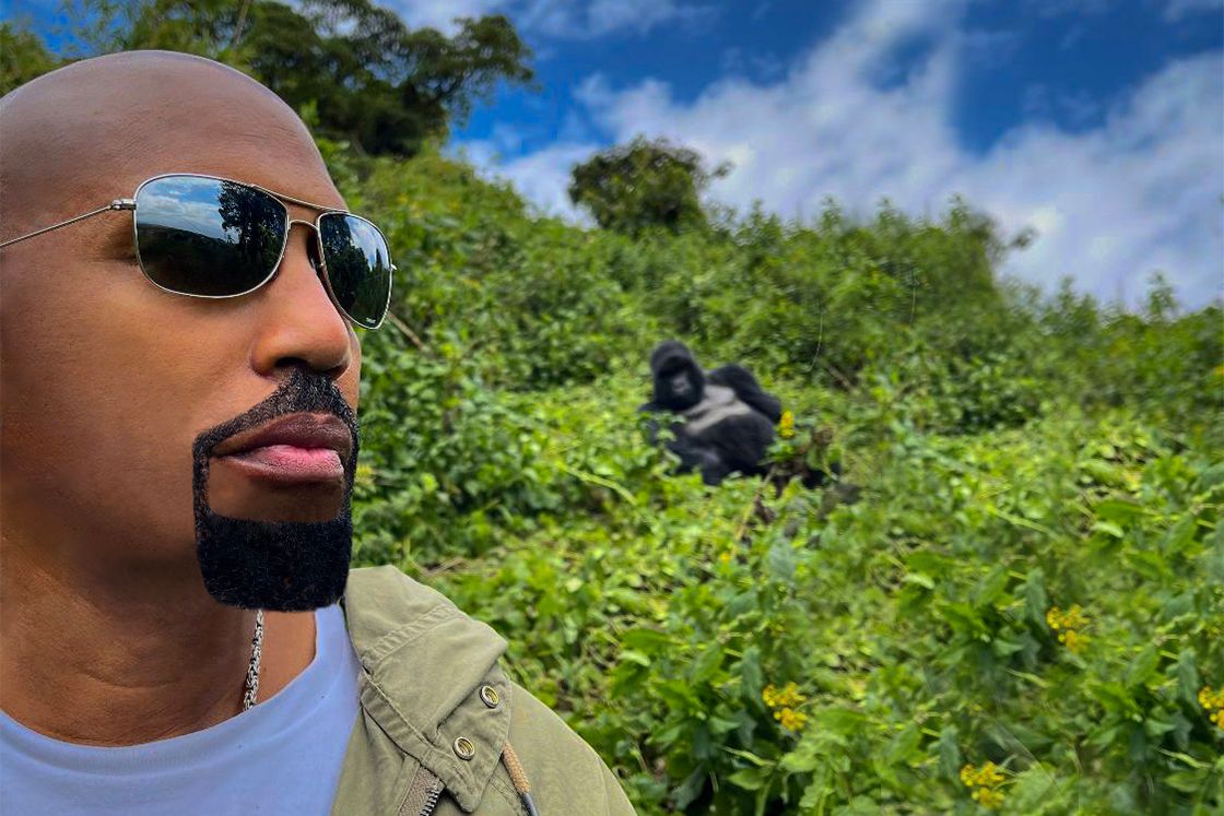 Stop Monkeying Around