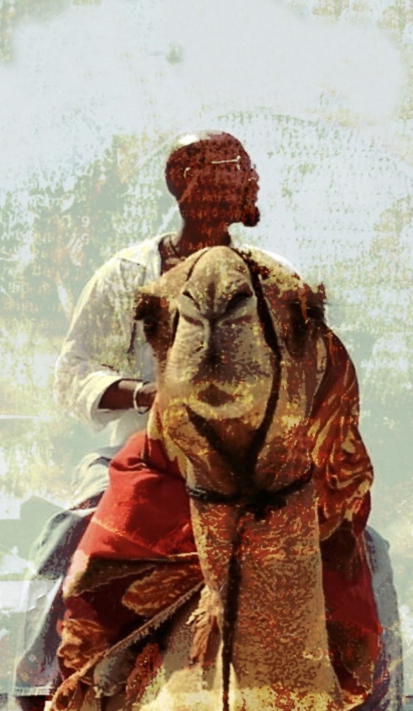 Camel rider — partners visual