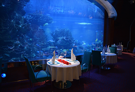 Al Mahara room